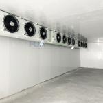 Industrial Logistics Fish/Seafood/Meat/Chicken Freezer Cold Room Construction