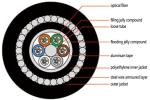 48 72 Cores Outdoor Fiber Optic Cable Aluminium Armoured Anti Rodent GYTA33