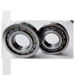 High quality 105*60*26 mm cylindrical roller bearing NU 1021