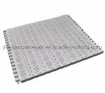 Transport Plastic Slat 1000 Series Modular Conveyor Belt for Barley Malt