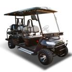 ODM Electric Hunting NEV Golf Cart Manufacturers High Performance 360kg