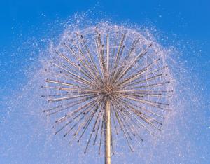 Quality Stainless Steel Dandelion Fountain Musical Signal Control wholesale