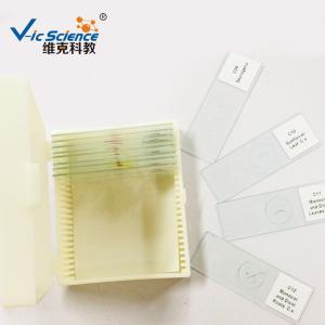 Quality 25pcs Set School Education 1.2mm Prepared Microscope Slides wholesale