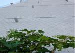 Rust Protection Stainless Steel Cable Trellis , Stainless Steel Wire Mesh