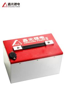 Quality 48V 20AH Electric Vehicles Stacker Lithium Ion Battery wholesale