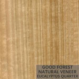 Quality Natural Eucalyptus Wood Veneer Popular Vertical Grain Veneer Plywood wholesale