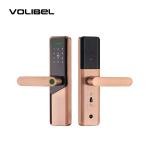 Wifi Remote Tuya Smart Door Lock