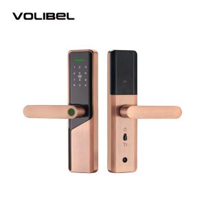 Quality Wifi Remote Tuya Smart Door Lock wholesale