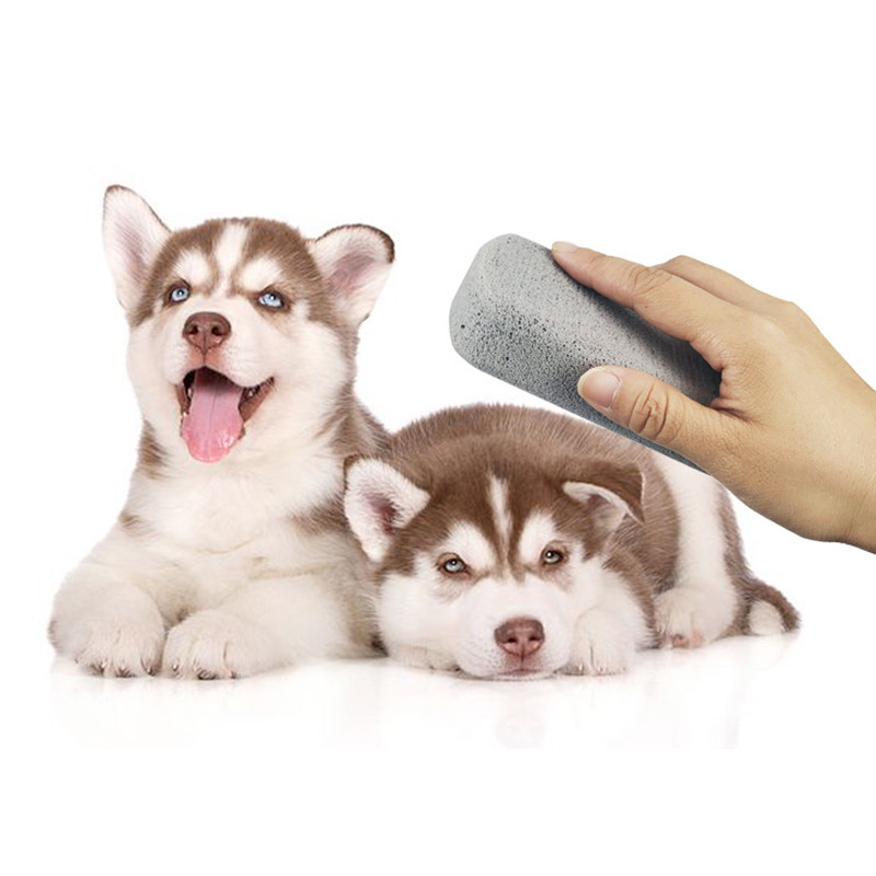 PORTABLE LINT REMOVER PET HAIR REMOVER BRUSH