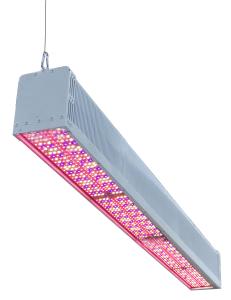 Quality AC 100V UV Grow Light Bulb Lm301b 660nm Supplemental Light For Indoor Plants wholesale