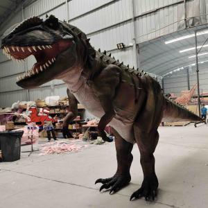 Quality Personalization Realistic Dinosaur Costume Carcharodontosaurus Model wholesale