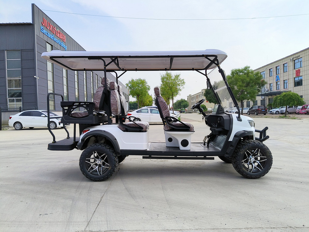 Steel Frame Electric Golf Cart With Solar Panel And 225/40-14 Vacuum Radial Tyre Wheels Perfect
