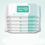 Antibacterial Disinfectant 75% Alcohol Wipes Hand Cleaning Sanitizer
