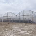 Tropical Top Ventilation Sawtooth Multi-span Plastic Film Custom Greenhouse