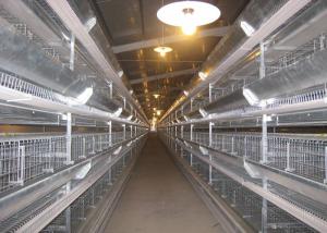 Quality 4 Tiers Livestock Farming Equipment Stainless Steel Tube Indoor Use wholesale