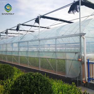 Quality Hydroponic Agriculture Commercial Glass Greenhouse With Shading System wholesale