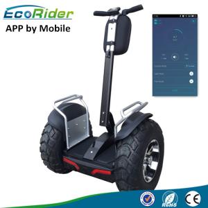 Quality EcoRider Segway Self Balancing Scooters Rough Terrain Brushless Motor wholesale