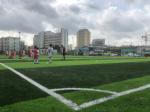 50mm Stem Shape Artificial Football Pitches With Disease Resistance