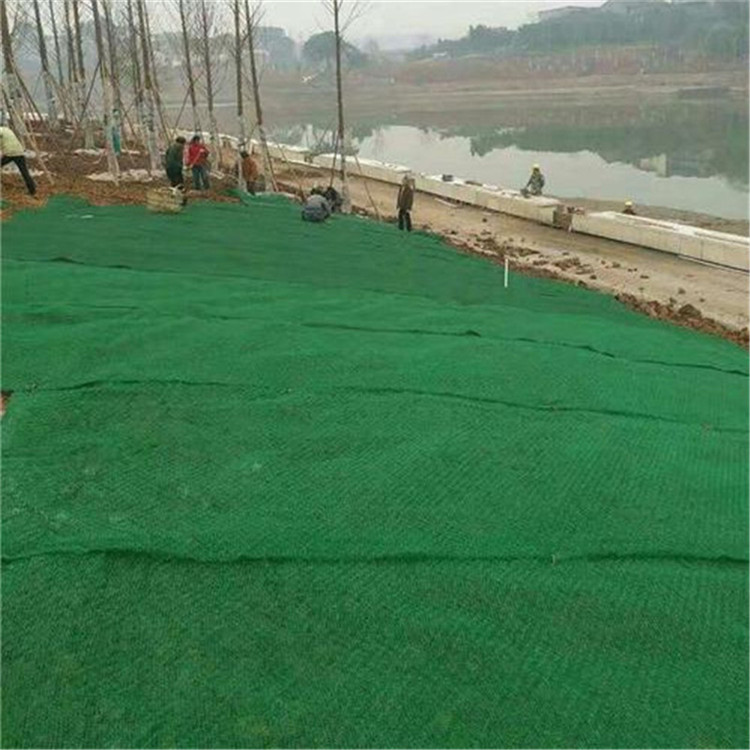 Modern Design High Tensile Strength Super CMD Mountain Slope Protection 3D Geomat
