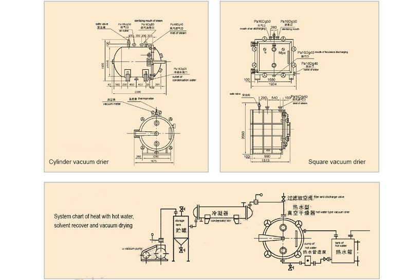 Food Vacuum Freeze Drying Machine For Vegetable and Fruit Drying