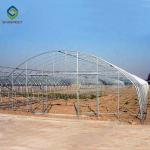 0.20mm Cucumber Plant Pe Film Single Tunnel Greenhouse