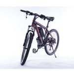 LCD Display Portable Electric Bike , 21 Speed 26 Inch 350w E Bike Alloy Frame