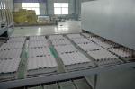 Large Egg Tray Production Line Capacity 50000pcs Per Working Day