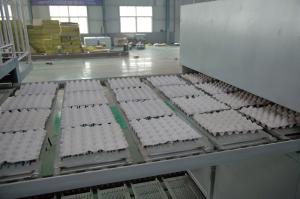 Quality 104kw 380v Chicken Egg Tray Machine Roller Type 1 Year Warranty wholesale