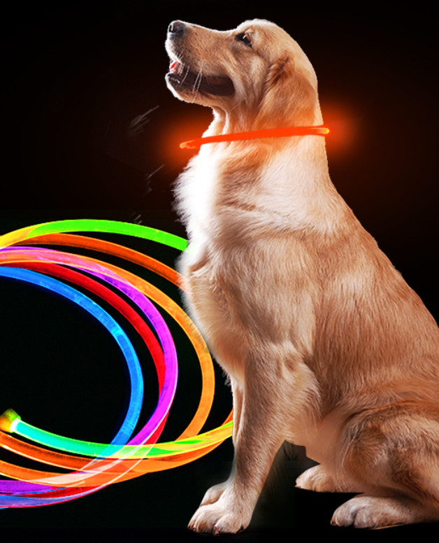 Rechargeable Led Leather Dog Collars Light Up Flashing Dog Collar