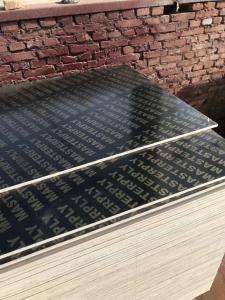 Quality Customized Thickness Construction Grade Plywood Low Formaldehyde Emission wholesale