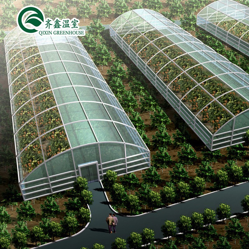 Large Steel Greenhouse Structure Shed Design With 150/200micro PE Film Covering