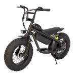 16 inch Fat Tire Electric Kids Bike Off-road Customized Dirt Bike with 31-60 km