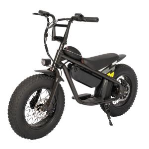 Quality 48V 250W Kids Electric Bike Perfect for Outdoor Child Toys and Outdoor Sports Riding wholesale