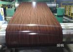 Color coated flower design PPGI Prepainted Galvanized Steel Coil