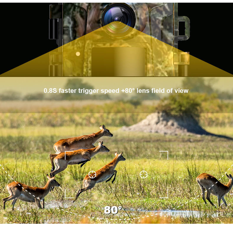 0.8 Second Night Vision Trail Camera 1080p Entry Level 2 Inch Outdoor For Wildlife