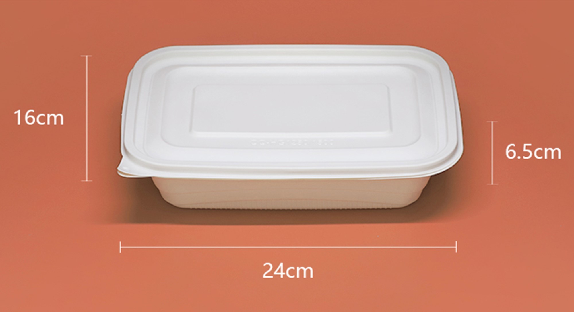 500ml natural 2-grid corn starch food storage container can carry a lunch box