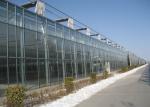 Hollow PC Sheet Greenhouse , Venlo Style Greenhouse Long Service Life