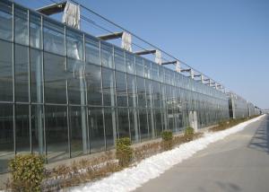 Quality Hollow PC Sheet Greenhouse , Venlo Style Greenhouse Long Service Life wholesale