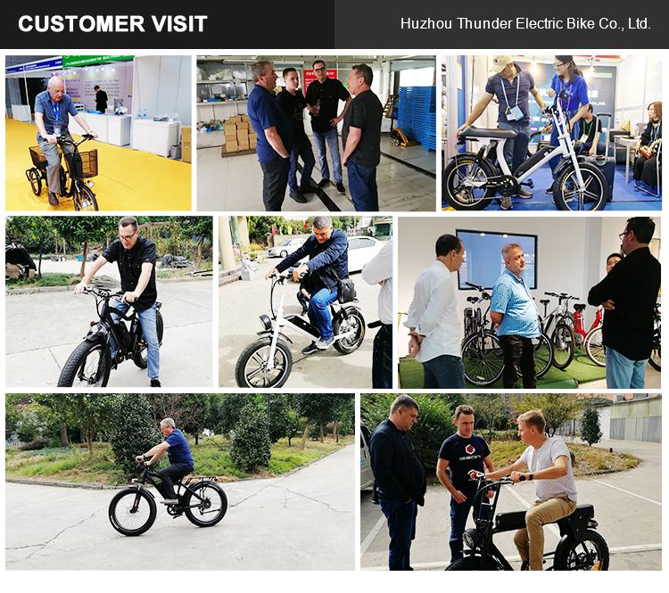 Max Speed 30-50Km/h Disc Brake Electric Fat Tire Bike 48V 400W Motor Ebike