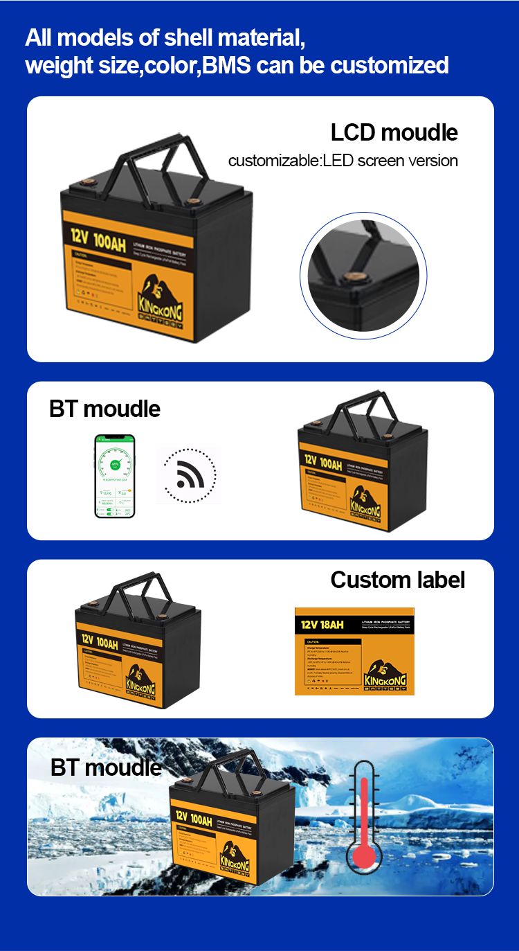 12V 48V 120Ah 150Ah 170Ah 200Ah 300Ah LiFePO4 Lithium Ion Battery Pack For Submarines