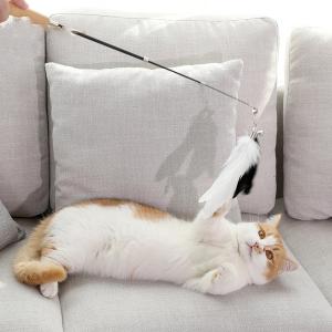 Quality Flexible Cat Wand Toy , Multicolor Retractable Cat Toy Stick With Feather wholesale