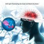 Brain Injury Health Analyzer Machine Physical Therapy Devices NIR 810nm