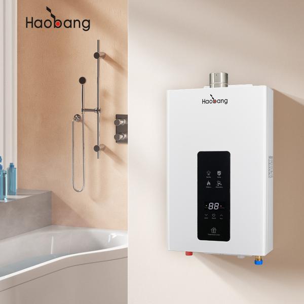 Easy Installation Wall Mounted Forced Vent Gas Water Heater For Household
