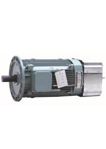 Quality 11KW Hoisting Three Phase Asynchronous Motor , 3 Phase Electric Motor YZEJ132M-4 wholesale