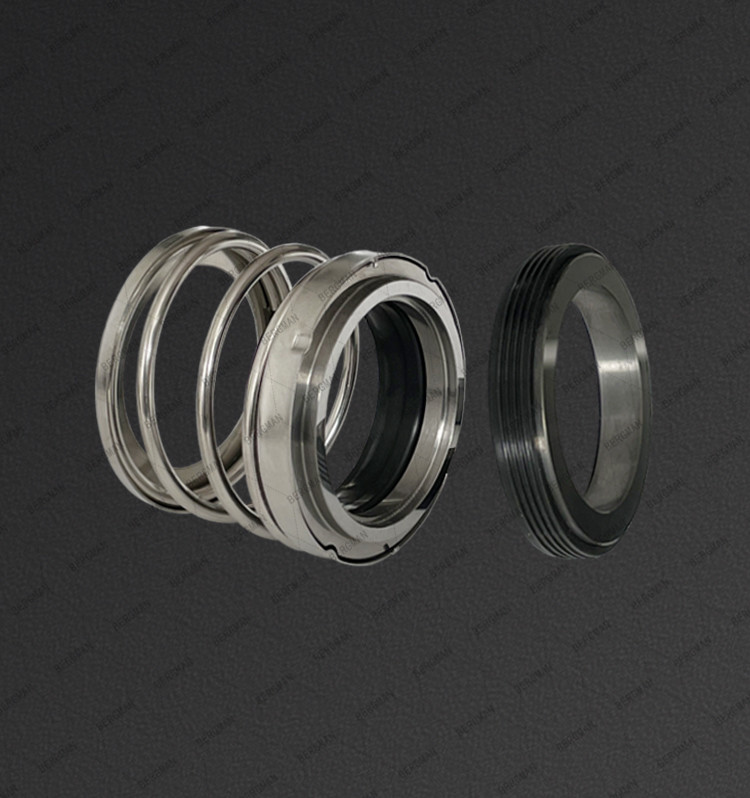 BERGMAN 560B Pump Mechanical Seal SS304 SS316 Metal