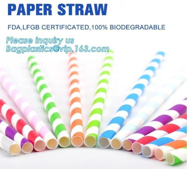 Eco Friendly Disposable Dinnerware Biodegradable Paper Drinking Straw Paper