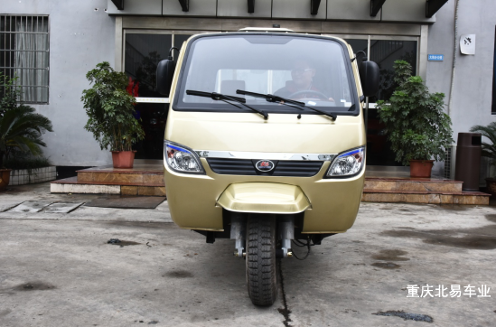 800CC Heavy Type Tuk Tuk Cargo Carrier Tricycle with Closed Cabin and 10L Capacity