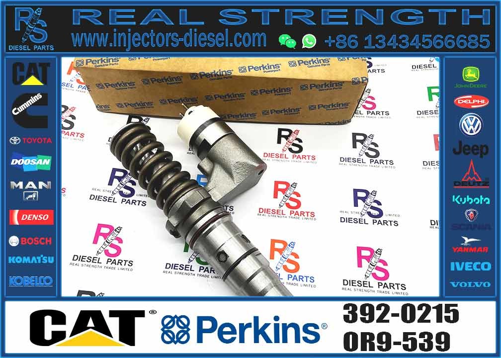 Excavator Parts 3116 Engine Injector 0R-8483 0R-3002 0R-8477 0R-3190 0R-8473 4P-2995 Fuel Injector For Excavator