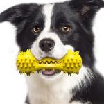 Nontoxic Natural Rubber Bite Resistant Dog Pet Toys Dog Toothbrush Toys 160g