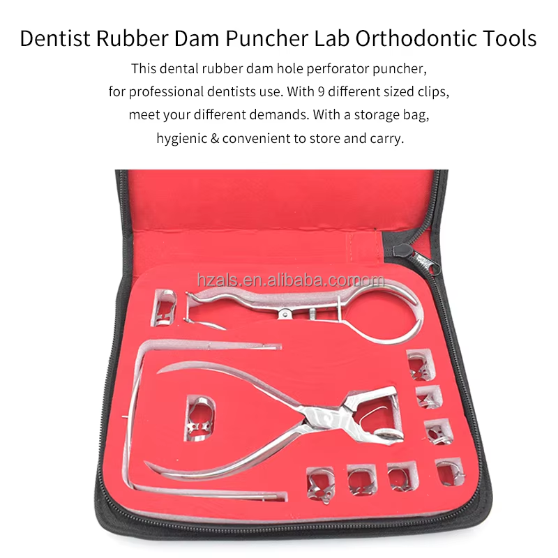 Best Rubber Dam Instruments Kit Clamps Ivory Clamps Forceps Dental Restorative Instruments with Machinery Power Source